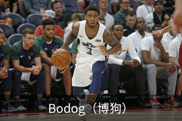Bodog（博狗）团队与业务介绍